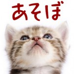 ねこめくり　トランプ猫ソリティア　人気アプリ 完全無料ゲーム